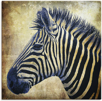Art-Land Zebra Porträt PopArt 70x70cm