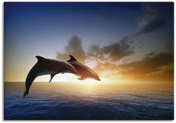 Art-Land Springendes Delfin-Paar bei schönem Sonnenuntergang 70x50cm