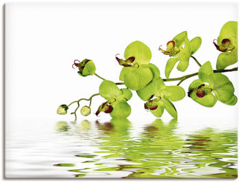 Art-Land Schöne Orchidee mit grünem Hintergrund 80x60cm