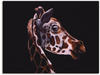 Artland Leinwandbild »Giraffen Portrait«, Wildtiere, (1 St.), auf Keilrahmen