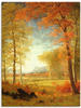 Artland Wandbild »Herbst in Oneida County, New York.«, Felder, (1 St.), als