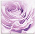 Art-Land Pastell Rose 50x50cm