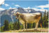 Art-Land Bergkuh in den Alpen im Sommer 120x80cm
