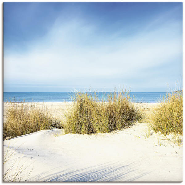 Art-Land Gras auf einem weißen Sanddünenstrand, einem blauen Ozean und einem Himmel im Hintergrund 50x50cm