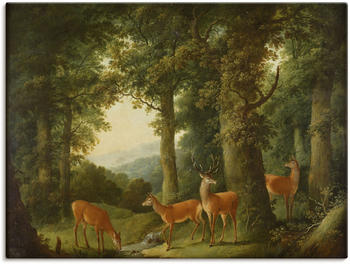 Art-Land Waldlandschaft mit Rotwild um 1760/70 80x60cm