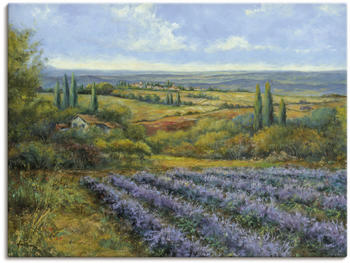 Art-Land Lavendelfelder in der Provence 120x90cm