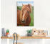 Art-Land Hallo Pferd 40x60cm