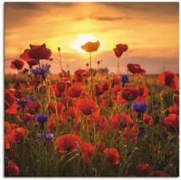 Artland Leinwandbild "Mohnblumen im Abendlicht" Blumen 1 Stk. tlg. auf Holzrahmen
