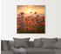 Art-Land Mohnblumen im Abendlicht 70x70cm