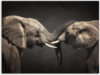 Art-Land Zwei Elefanten 80x60cm