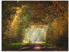 Artland Wandbild »Licht am Ende des Tunnels...«, Wald, (1 St.), als...