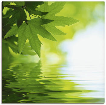 Art-Land Grüne Blätter reflektieren im Wasser 40x40cm