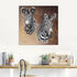 Art-Land Zebra Porträts 50x50cm