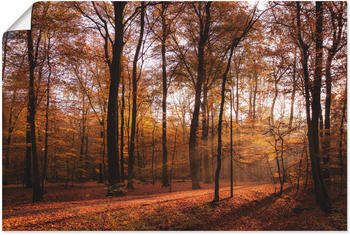 Art-Land Sonnenaufgang im Herbst II 120x80cm