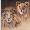 Artland Wandbild »Löwen«, Wildtiere, (1 St.), als Alubild, Outdoorbild,