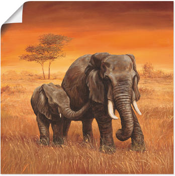 Art-Land Elefanten 70x70cm