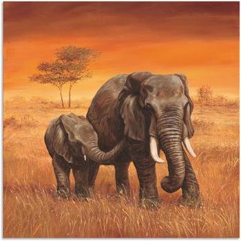 Art-Land Elefanten 50x50cm