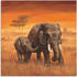 Art-Land Elefanten 50x50cm