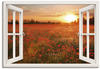 Art-Land Fensterblick Mohnblumenfeld bei Sonnenuntergang 70x50cm