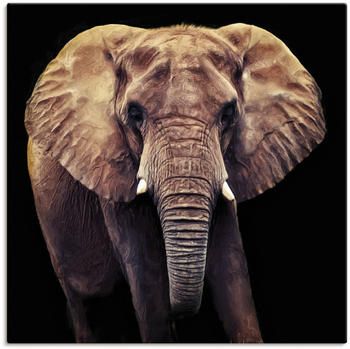 Art-Land Elefant 70x70cm