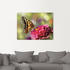 Art-Land Schmetterling 60x45cm
