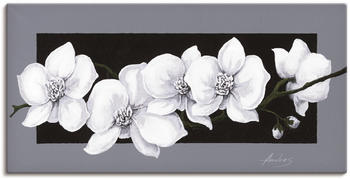 Art-Land Weiße Orchideen 100x50cm