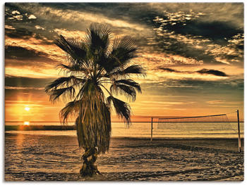 Art-Land Palme bei Sonnenuntergang 60x45cm