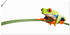 Art-Land Frosch auf einem Blatt 100x50cm