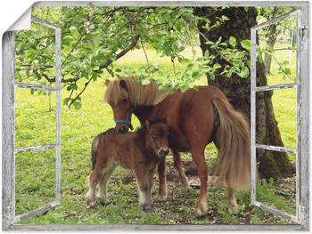Art-Land Fensterblick Pony mit Kind 60x45cm
