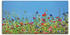 Art-Land Blumenwiese 100x50cm