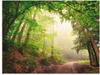 Artland Wandbild »Natürliche Torbögen durch Bäume«, Wald, (1 St.), als Alubild,
