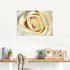 Art-Land Weiße Rose 70x50cm