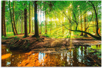 Art-Land Wald mit Bach 60x40cm