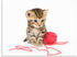 Art-Land Kätzchen mit rotem Garnball vor weißem Hintergrund 60x45cm