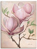 Artland Wandbild »Magnolienblüten«, Blumen, (1 St.), als Leinwandbild,...