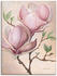 Art-Land Zwei Magnolienblüten 60x80cm