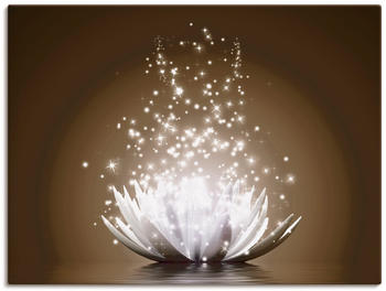 Art-Land Magie der Lotus-Blume 80x60cm