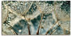 Art-Land Pusteblume Regenschauer 150x75cm