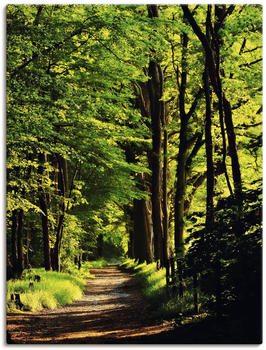 Art-Land Helles Licht und ein grüner Weg laden zu einem Spaziergang ein 90x120cm