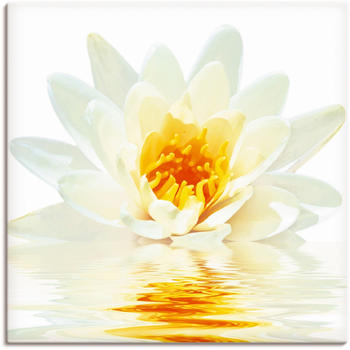 Art-Land Lotusblume schwimmt im Wasser 70x70cm