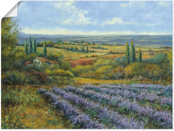 Art-Land Lavendelfelder in der Provence 80x60cm