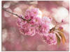 Artland Wandbild »Japanische Kirschblüte in Love III«, Blumen, (1 St.), als
