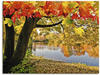 Artland Wandbild »Herbsttag an einem ruhigen See«, Gewässer, (1 St.), als...