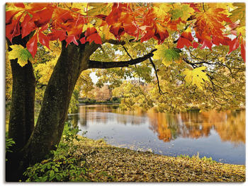 Art-Land Wundervoller Herbsttag an einem ruhigen See 80x60cm