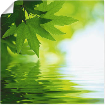 Art-Land Grüne Blätter reflektieren im Wasser 70x70cm