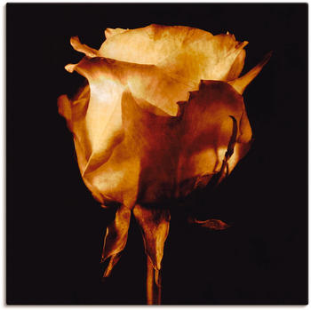 Art-Land Vergoldete Rose 30x30cm