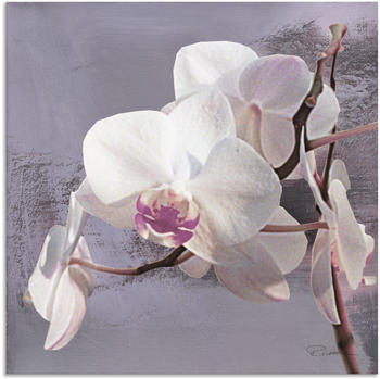 Art-Land Orchideen vor Violett I 40x40cm