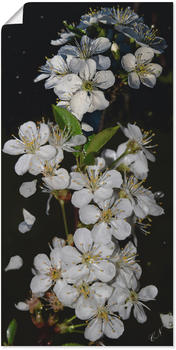 Art-Land Baumblüte 50x100cm
