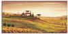 Art-Land Toskanalandschaft mit Mohnblumen 150x75cm