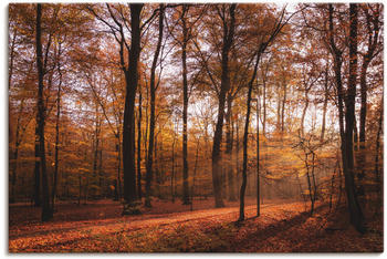 Art-Land Sonnenaufgang im Herbst II 90x60cm